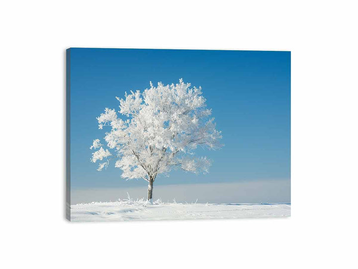 Solitary Tree  Canvas Print