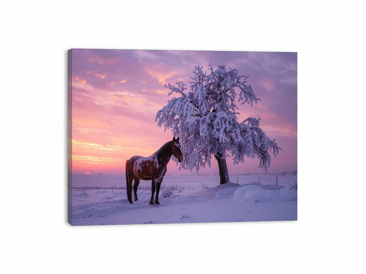 Horse In Winter  Canvas Print