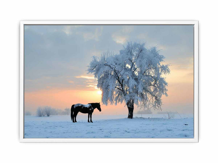 Horse In Winter  Framed Print