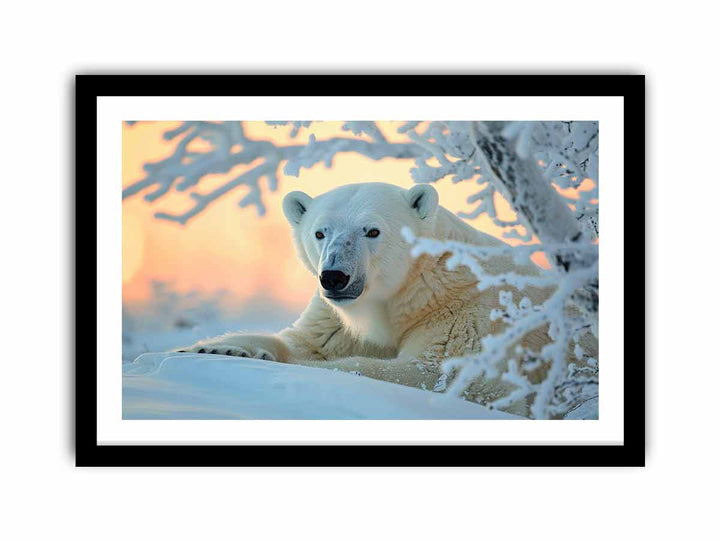 Cute Polar Bear  Art Print