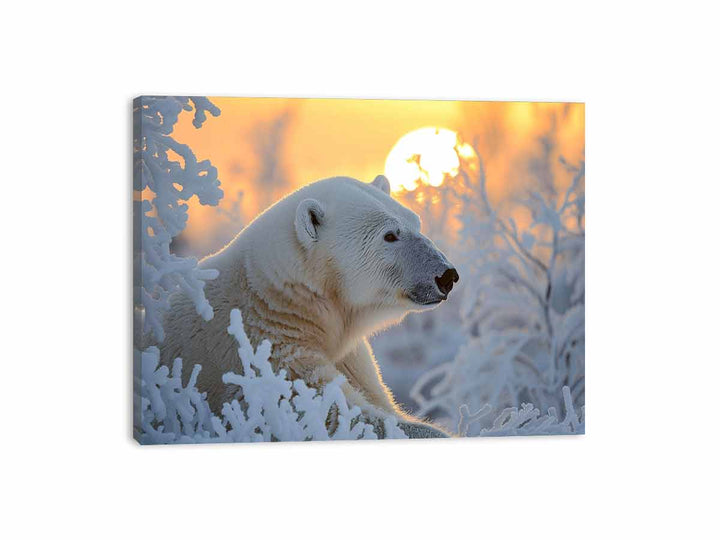  Bear Felling  Cold Canvas Print