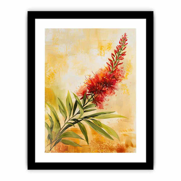 Callistemon   Art Print