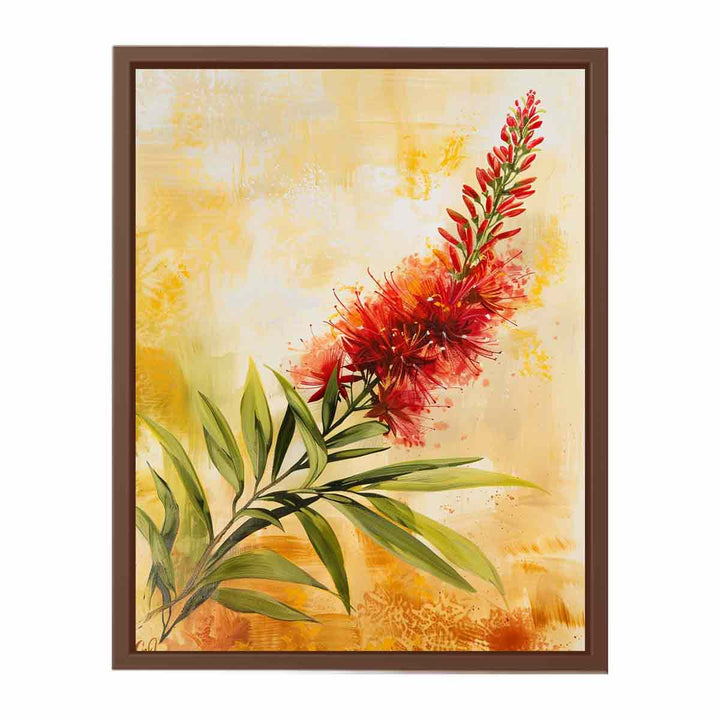 Callistemon   Poster