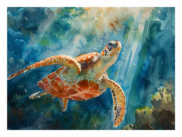 Turtle In Sea 