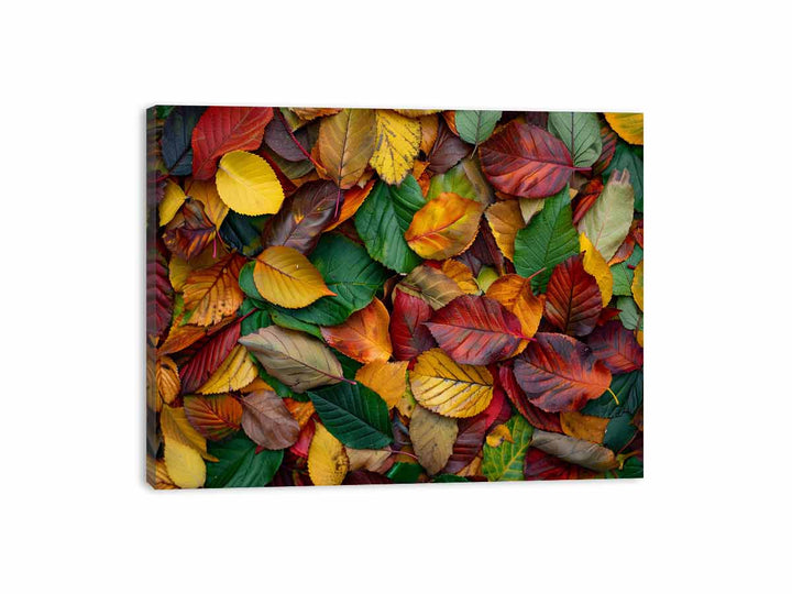 Coloful Autumn Canvas Print