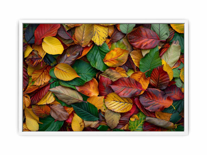 Coloful Autumn Framed Print