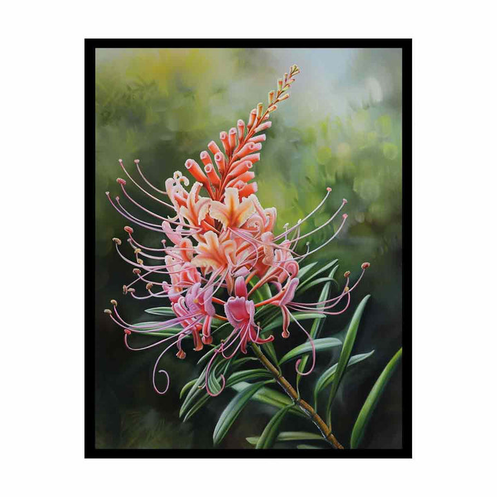 Grevillea Flower  Painting