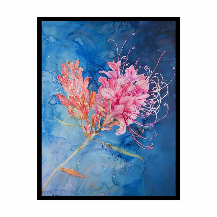 Grevillea   Painting