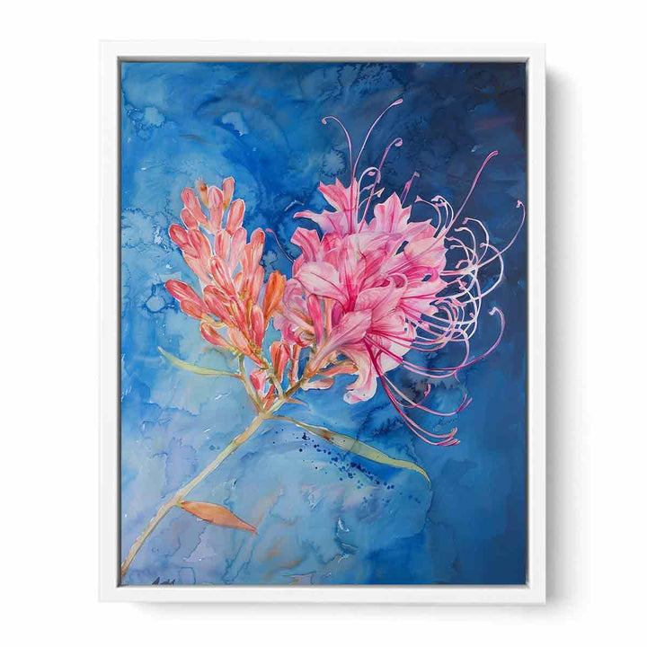 Grevillea  Framed Print