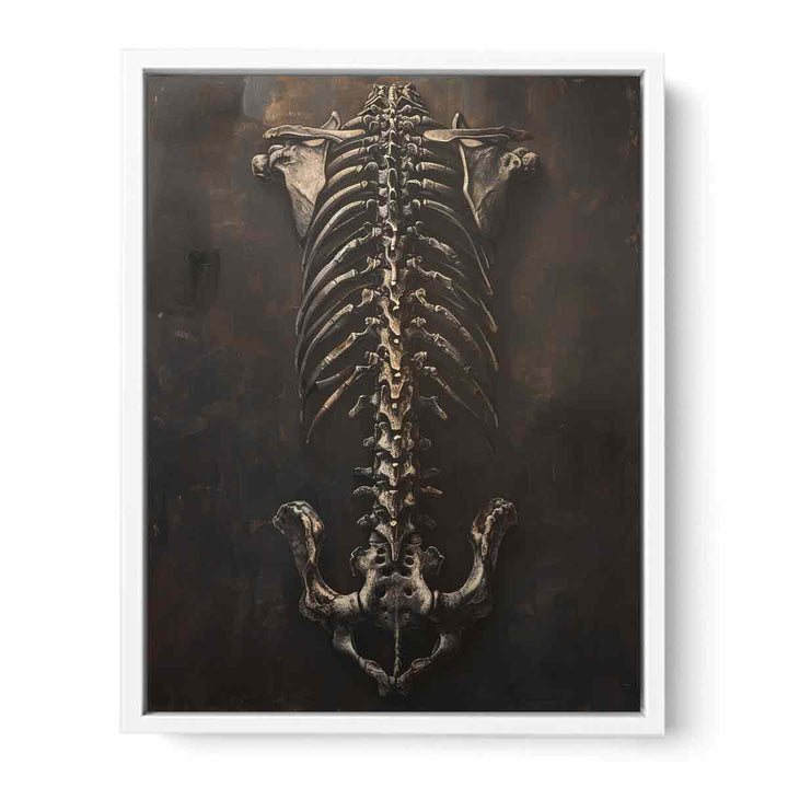 Skelton  Framed Print