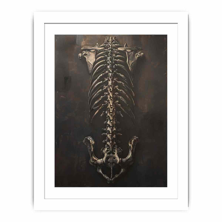 Skelton  Streched canvas