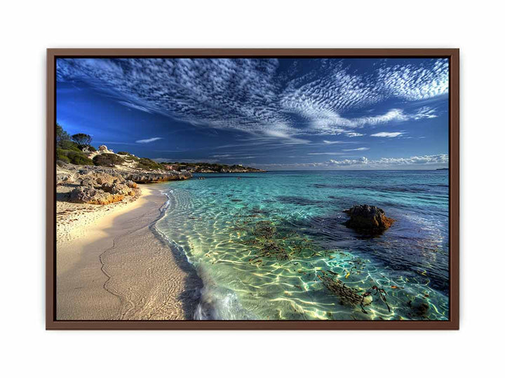 Rottnest  Island Perth  Poster