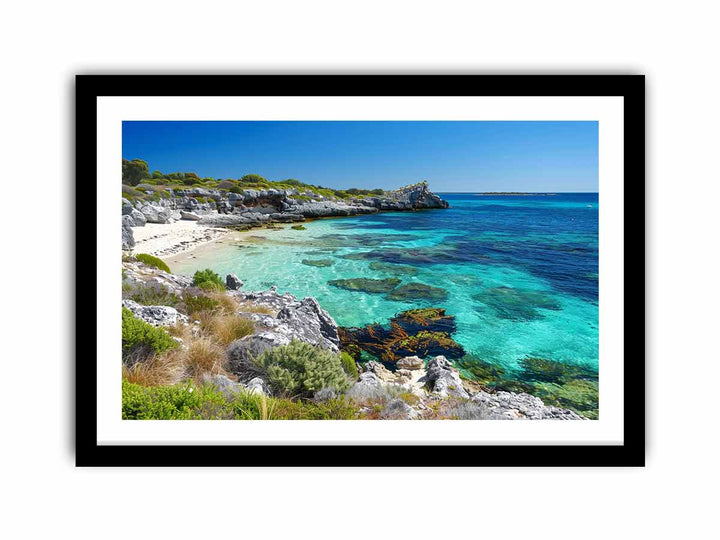 Rottnest  Island Perth   Art Print