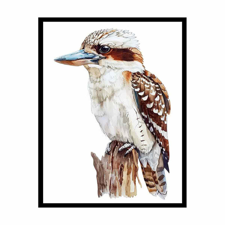 Kookaburra   Painting