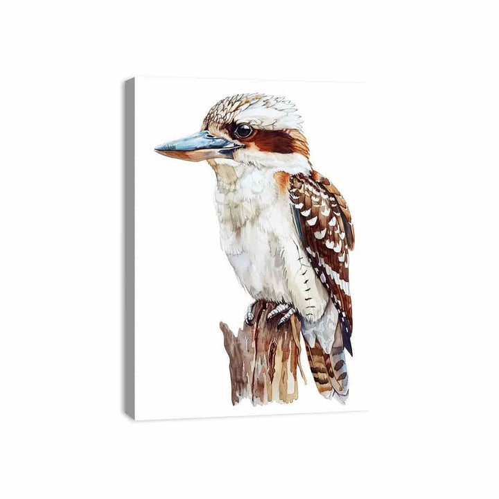 Kookaburra  Canvas Print