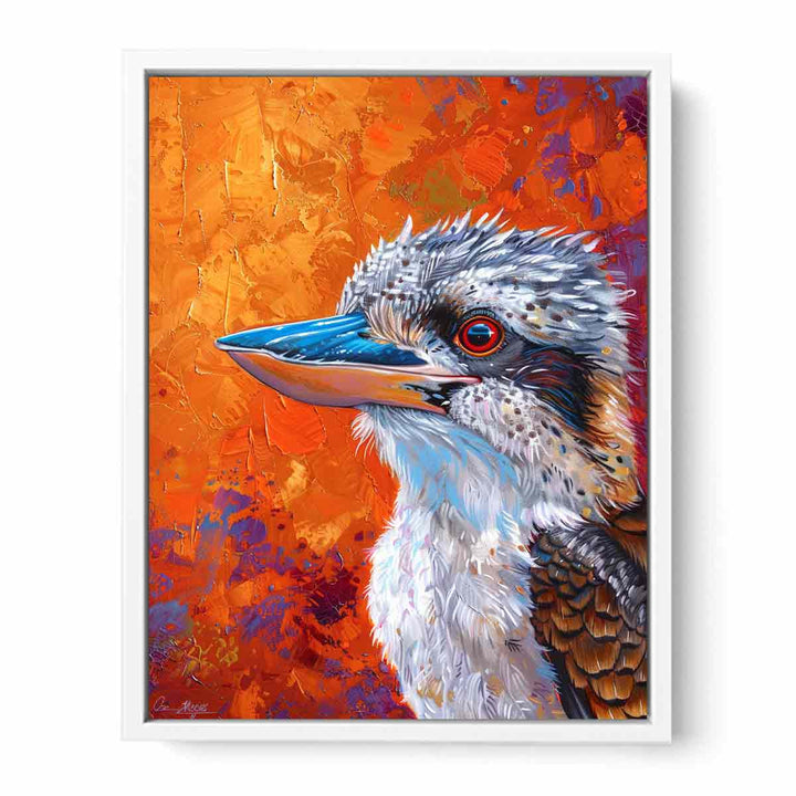 Kookaburra  Framed Print