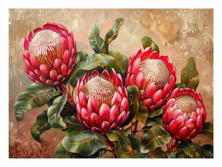 Waratah 