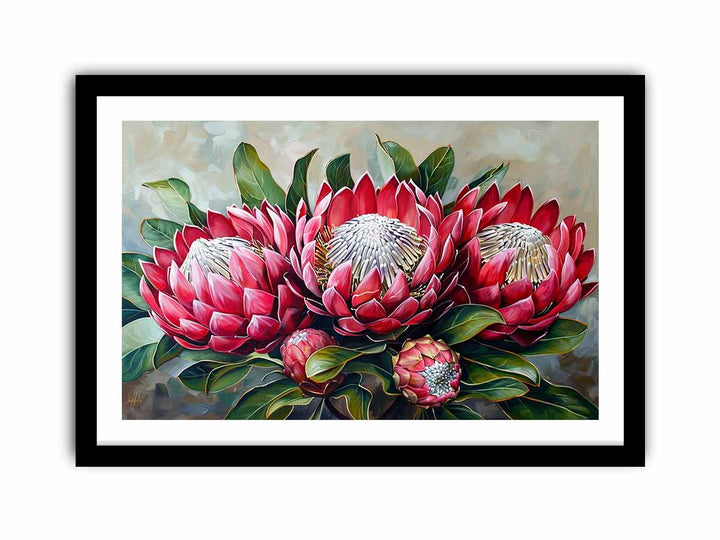 Waratah   Art Print