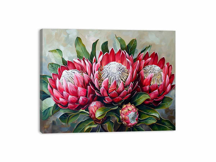 Waratah  Canvas Print