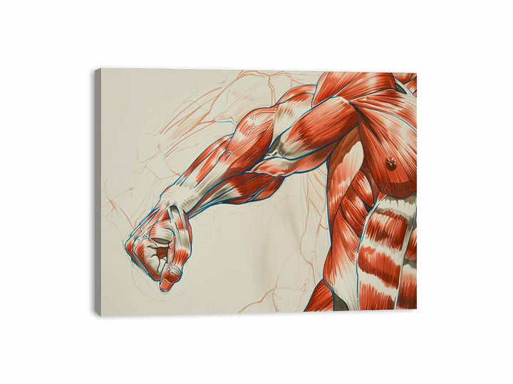 Strong  Canvas Print