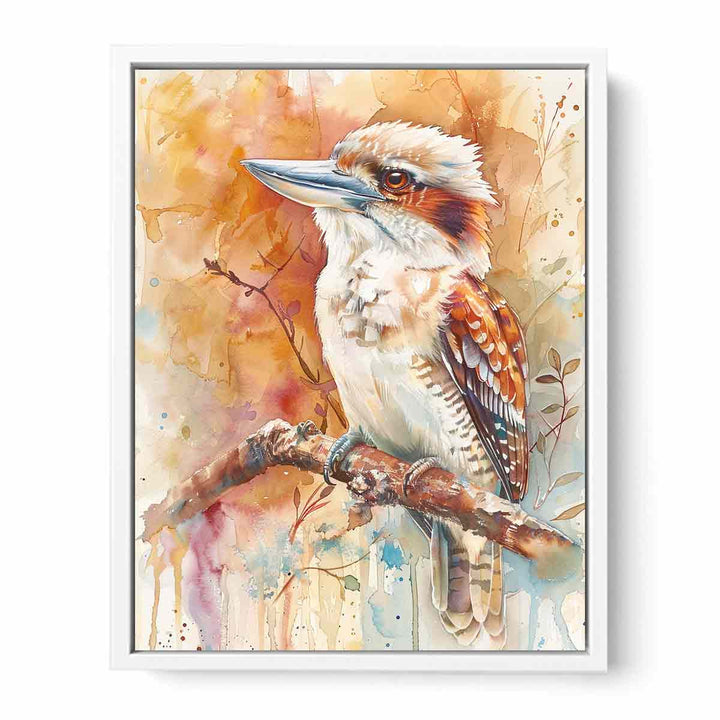 Watercolors Kookaburra Framed Print