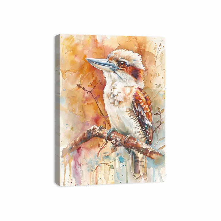 Watercolors Kookaburra Canvas Print