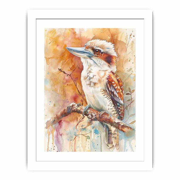 Watercolors Kookaburra Streched canvas