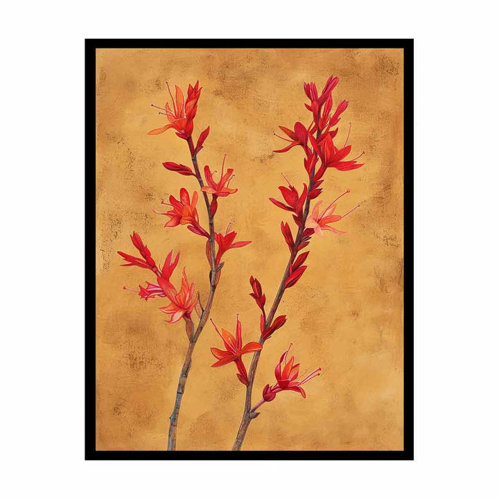 Kangaroo Paw  Painting