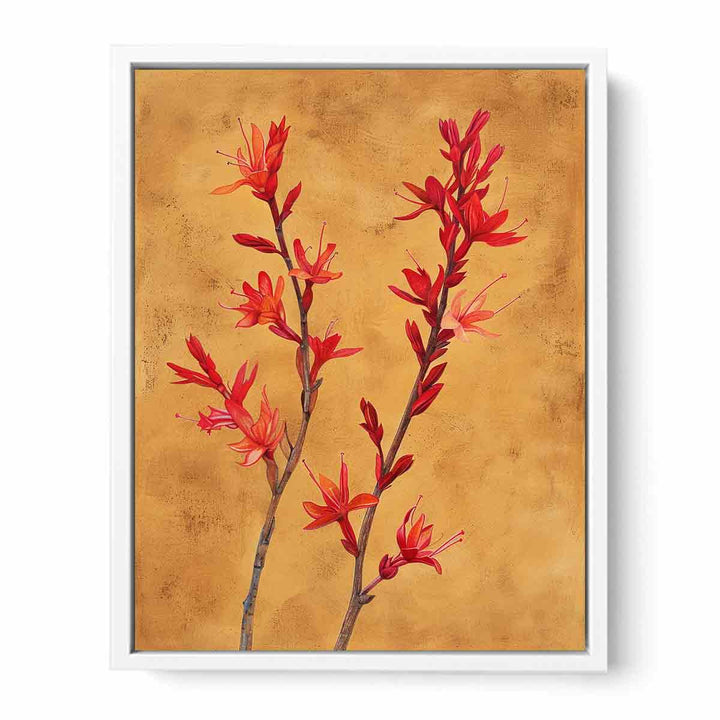 Kangaroo Paw Framed Print