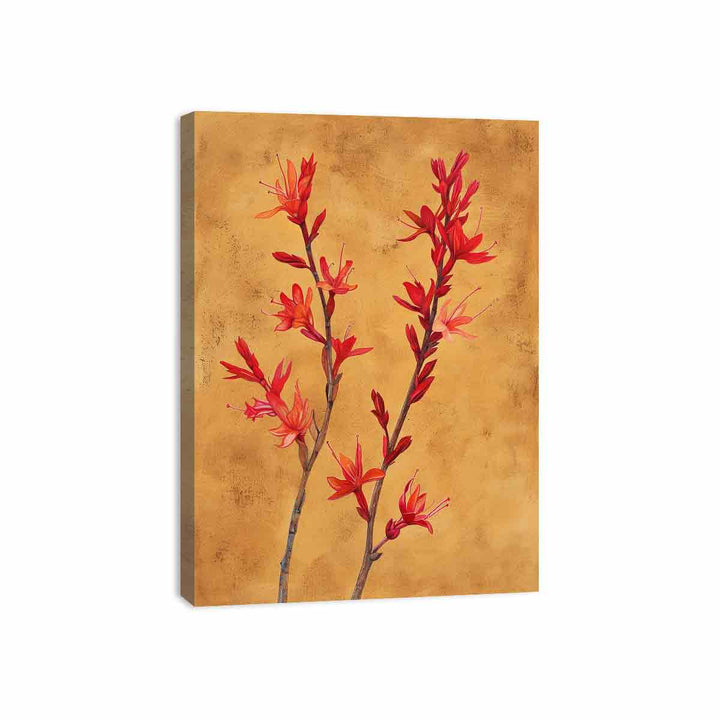 Kangaroo Paw Canvas Print