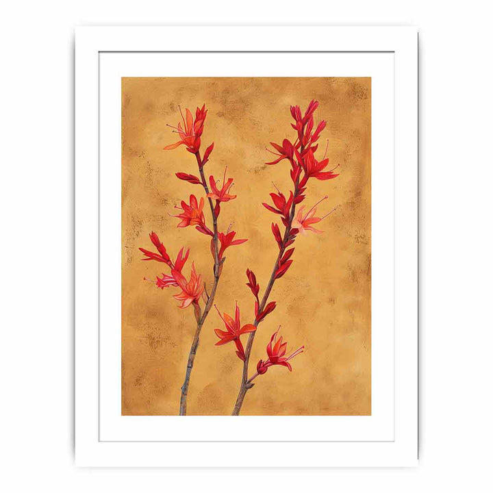 Kangaroo Paw Streched canvas