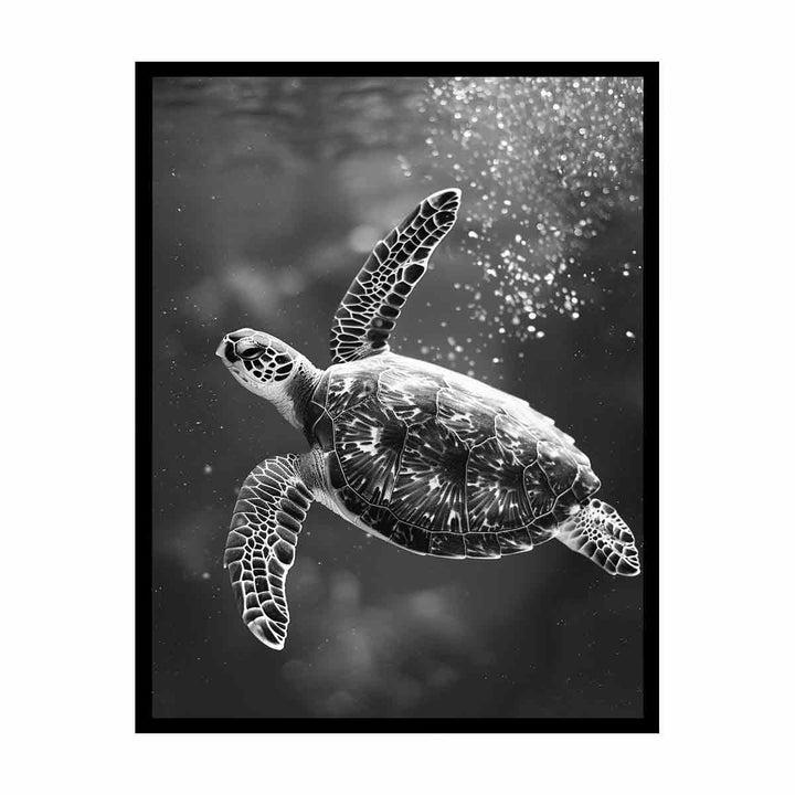 Underwater Turtle   Painting