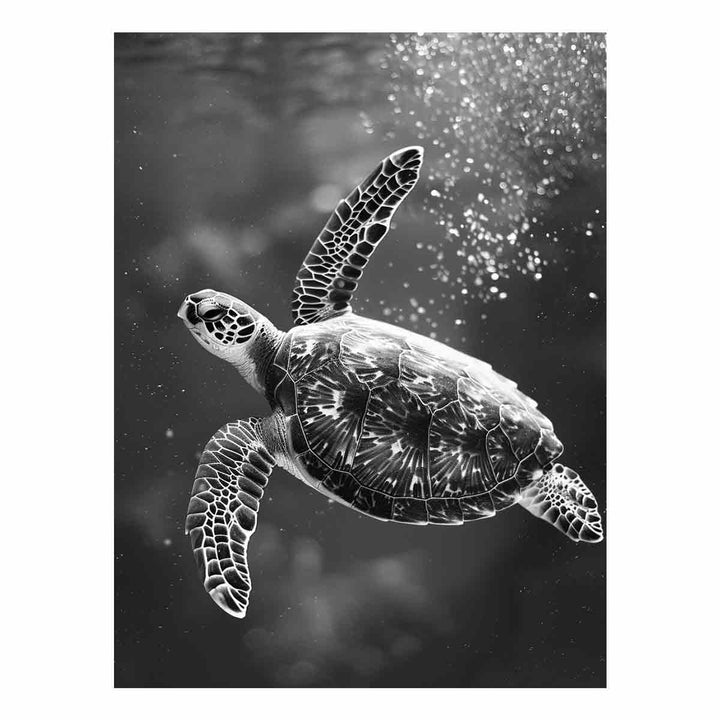 Underwater Turtle 