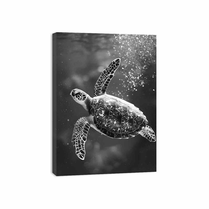 Underwater Turtle  Canvas Print