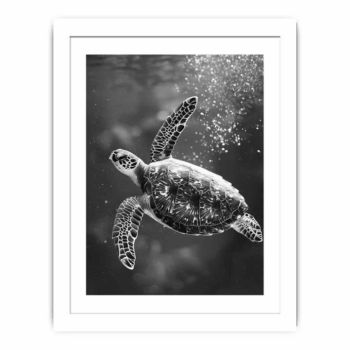 Underwater Turtle  Streched canvas