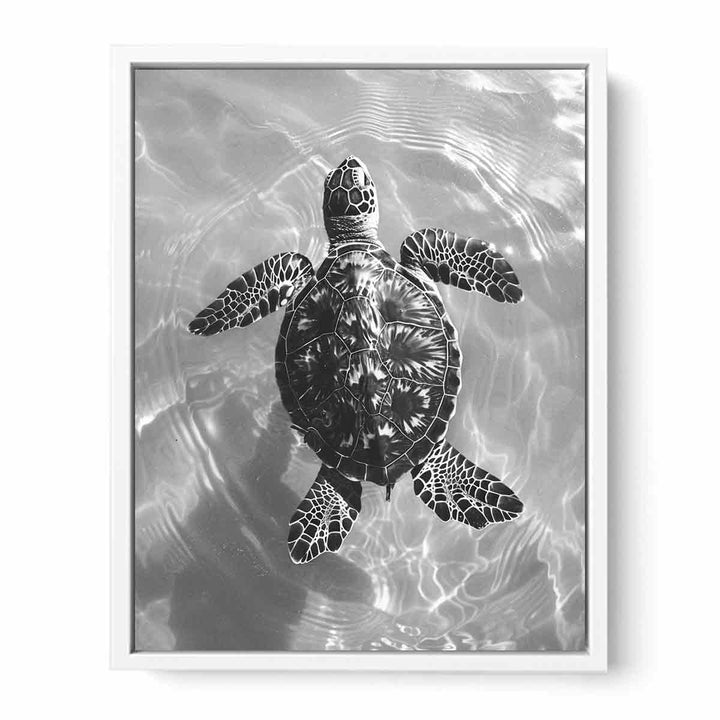 Just In Water Framed Print