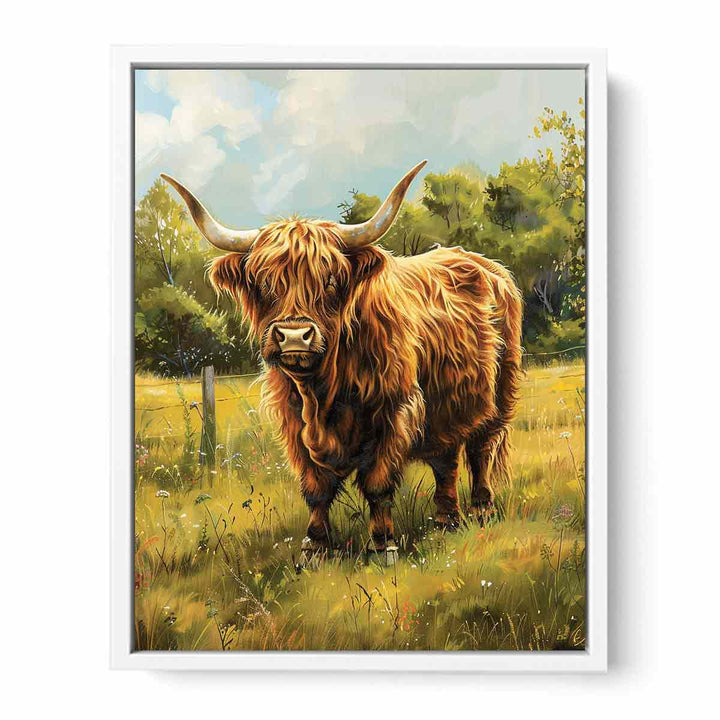 Scottish Highland  Framed Print