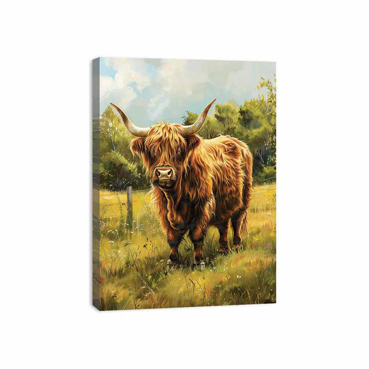 Scottish Highland  Canvas Print