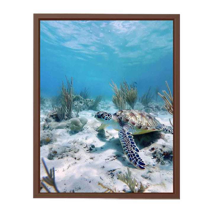 Underwater Turtle   Poster