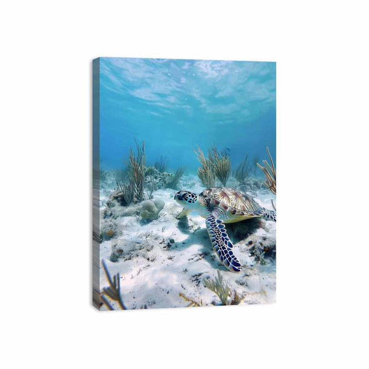 Underwater Turtle  Canvas Print