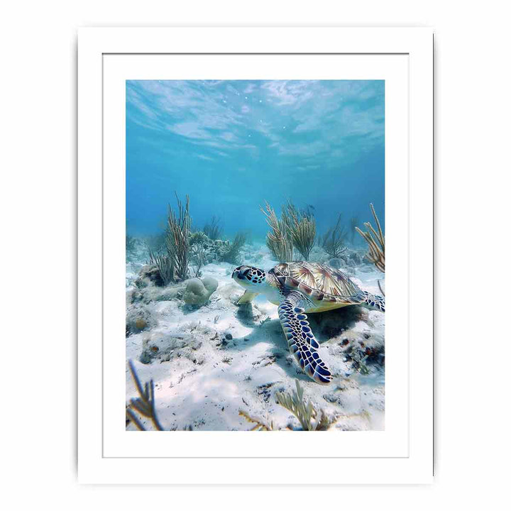 Underwater Turtle  Streched canvas