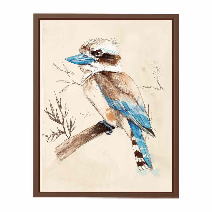 Cute Kookaburra   Poster