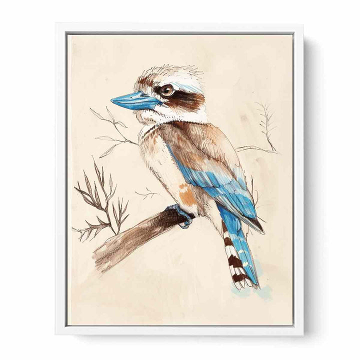 Cute Kookaburra  Framed Print