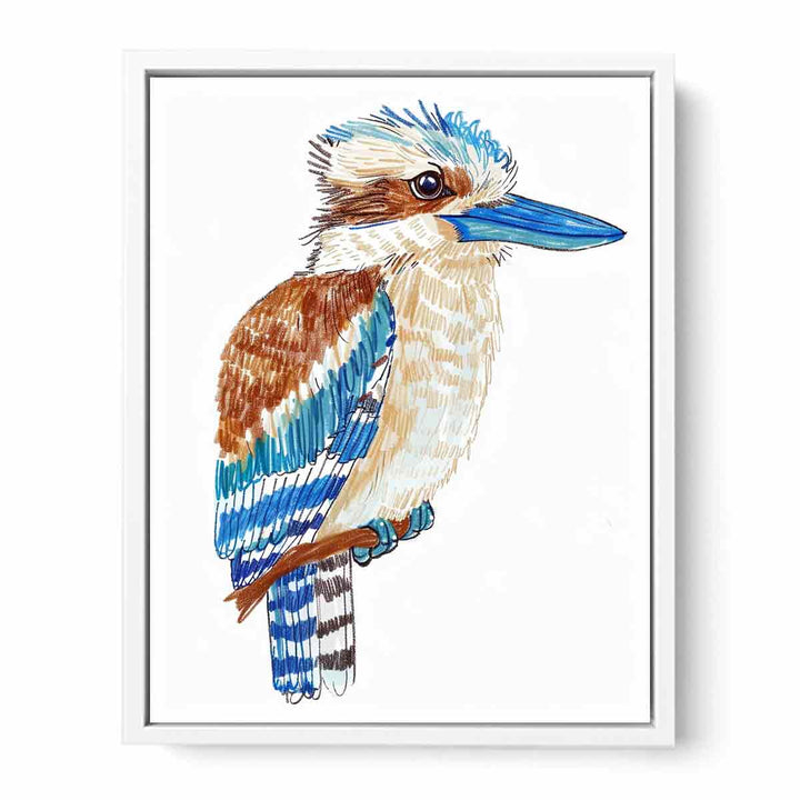 Cute Kookaburra  Framed Print