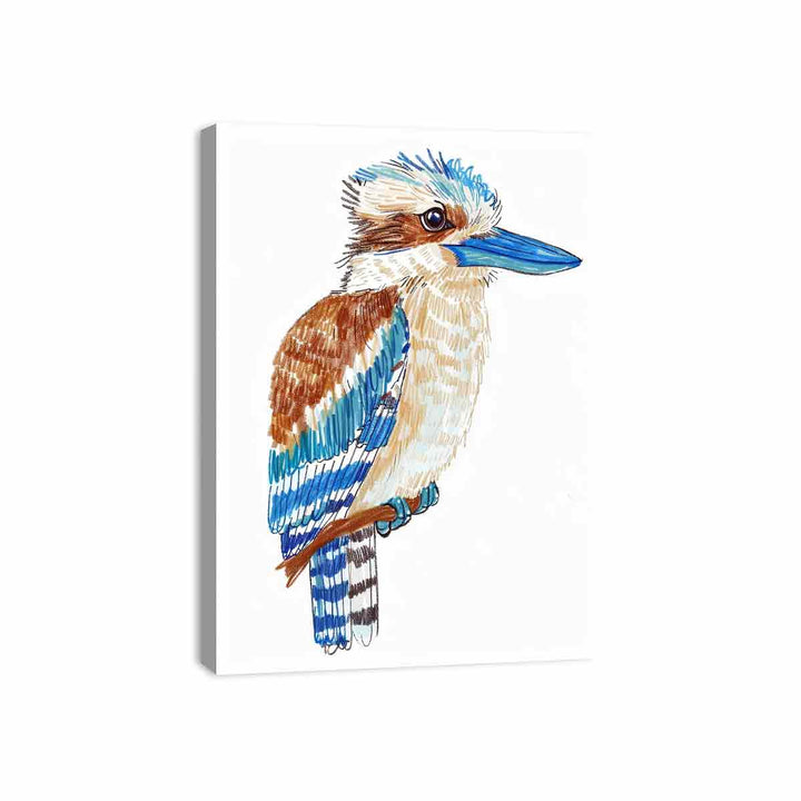 Cute Kookaburra  Canvas Print