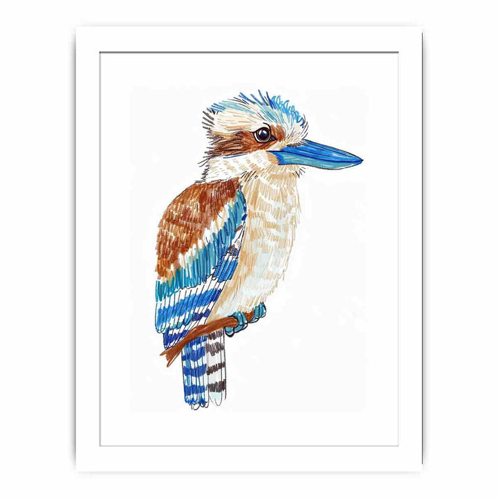 Cute Kookaburra  Streched canvas