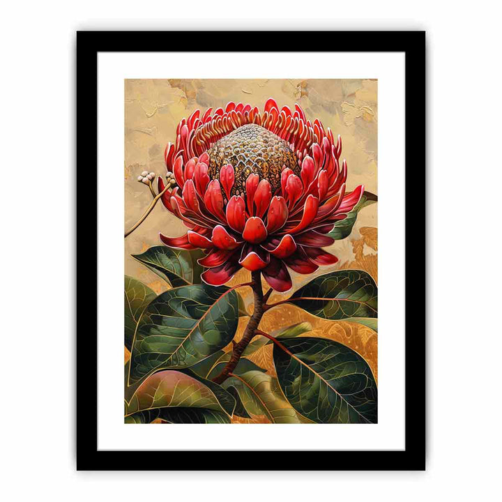 Waratah   Art Print