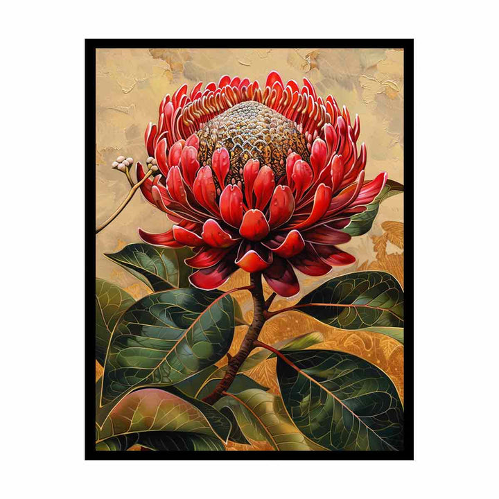 Waratah   Painting