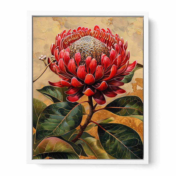 Waratah  Framed Print