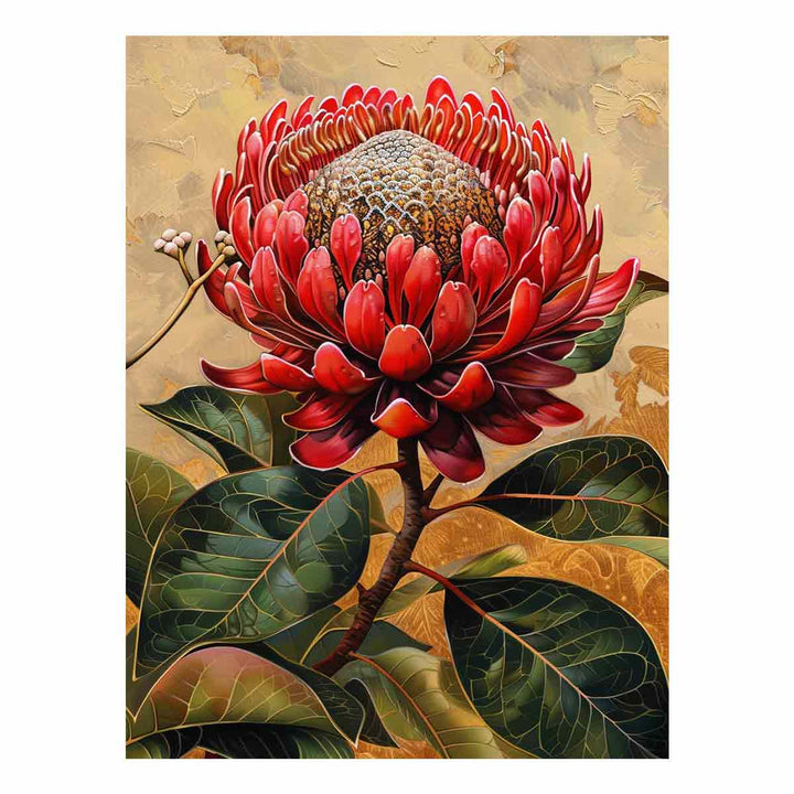 Waratah 